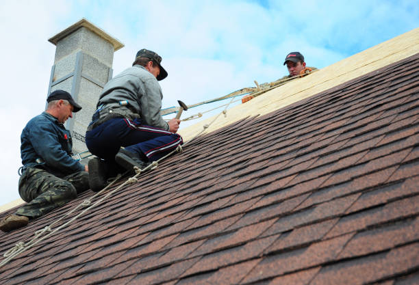 Best Gutter Installation and Roofing  in Mont Clare, PA