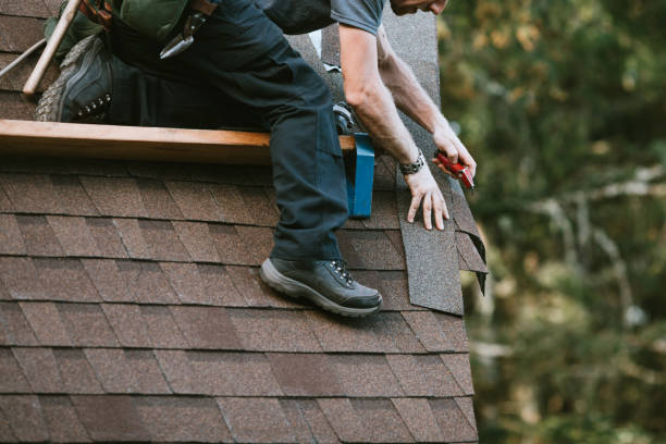 Roof Gutter Cleaning in Mont Clare, PA